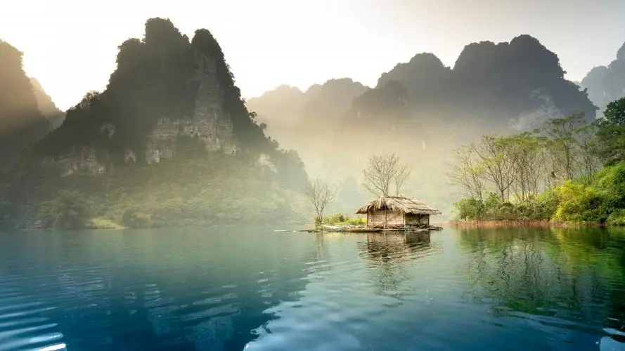 全自动高效高精度